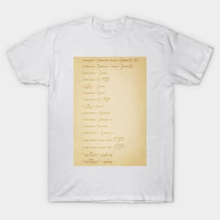 Indefinite Integral T-Shirt